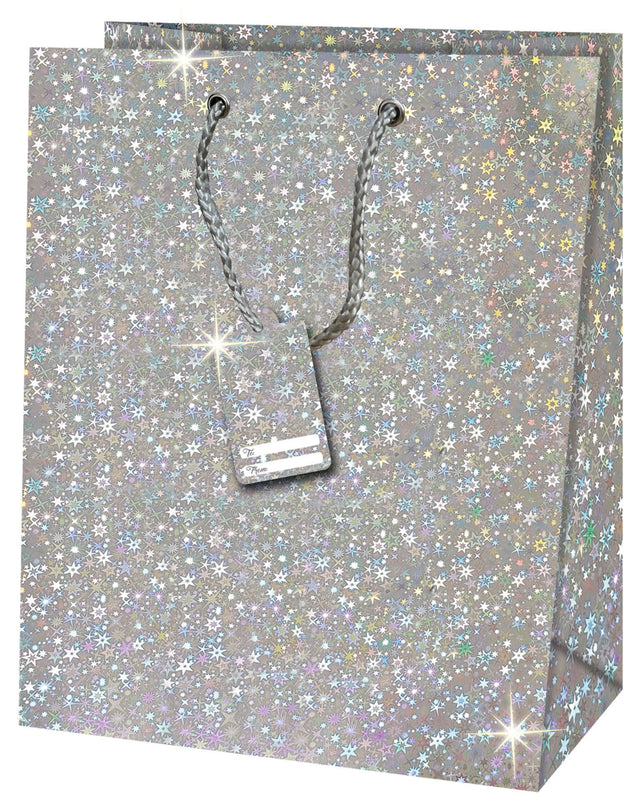 Holografická velká vánoční dárková taška TL - STARRY SKY - 33 x 26.7 x 13.7 cm 223533 TL.jpg#17969#d453c4c25204