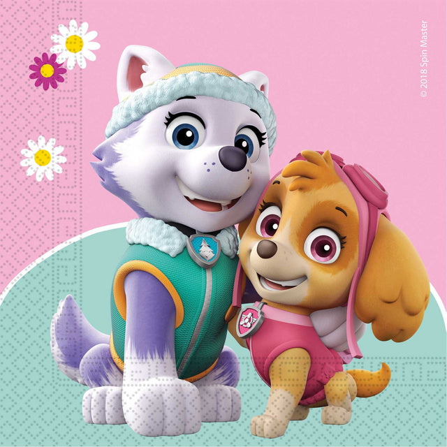 Papírové 2vrstvé ubrousky SKYE & EVEREST 90277.jpg